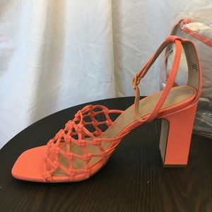 Beautiful coral pump